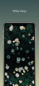 flower background