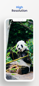  panda wallpapers