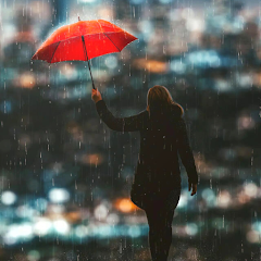 Rain Wallpapers